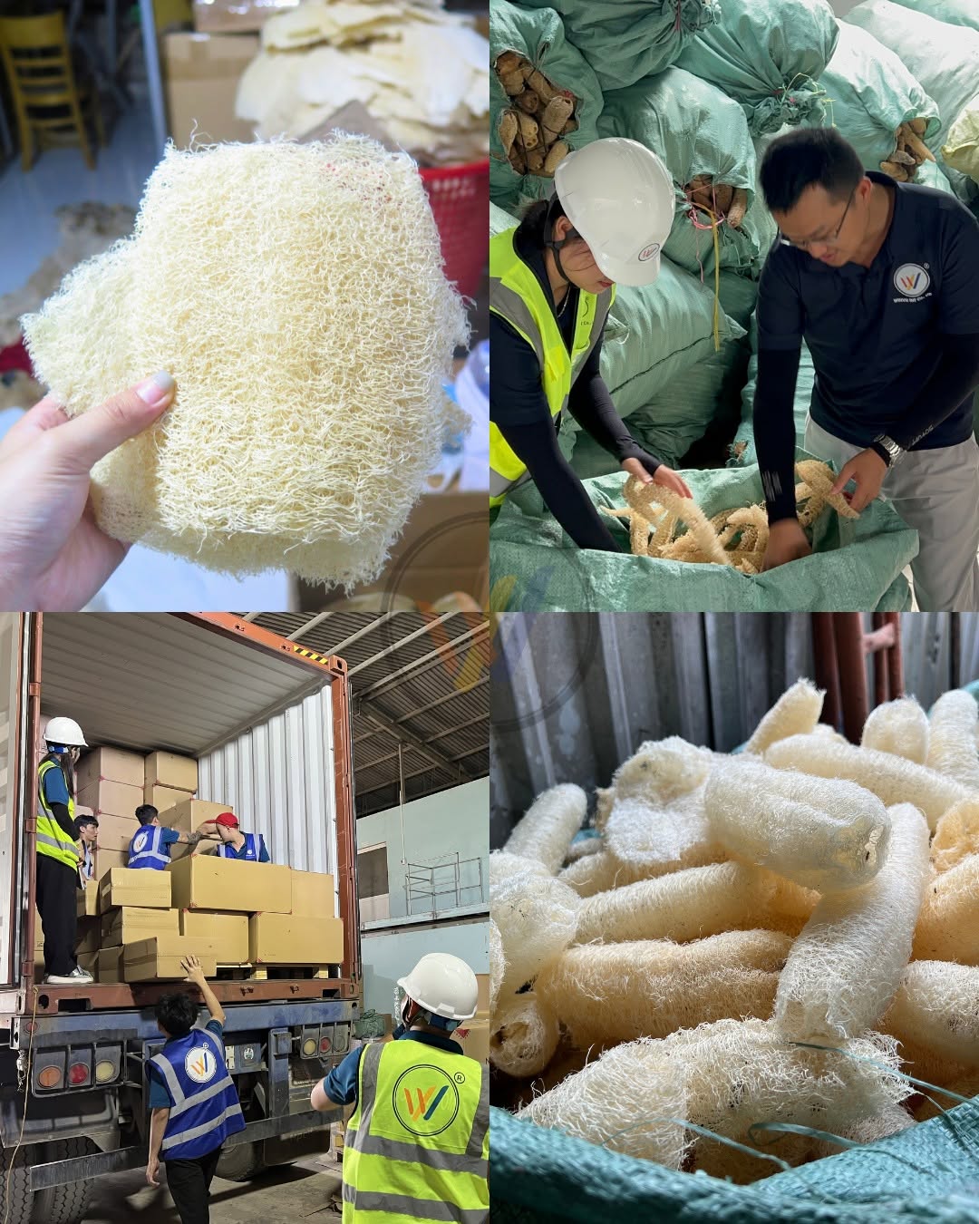 Inside our Vietnam loofah factory — from raw material to finished export SKU